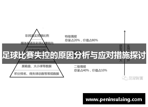 足球比赛失控的原因分析与应对措施探讨