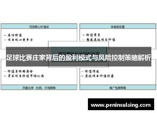 足球比赛庄家背后的盈利模式与风险控制策略解析